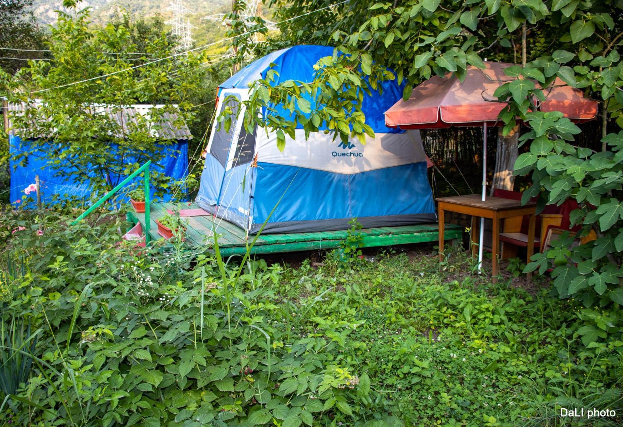 ホテル Tereza Glamping Sanain エクステリア 写真