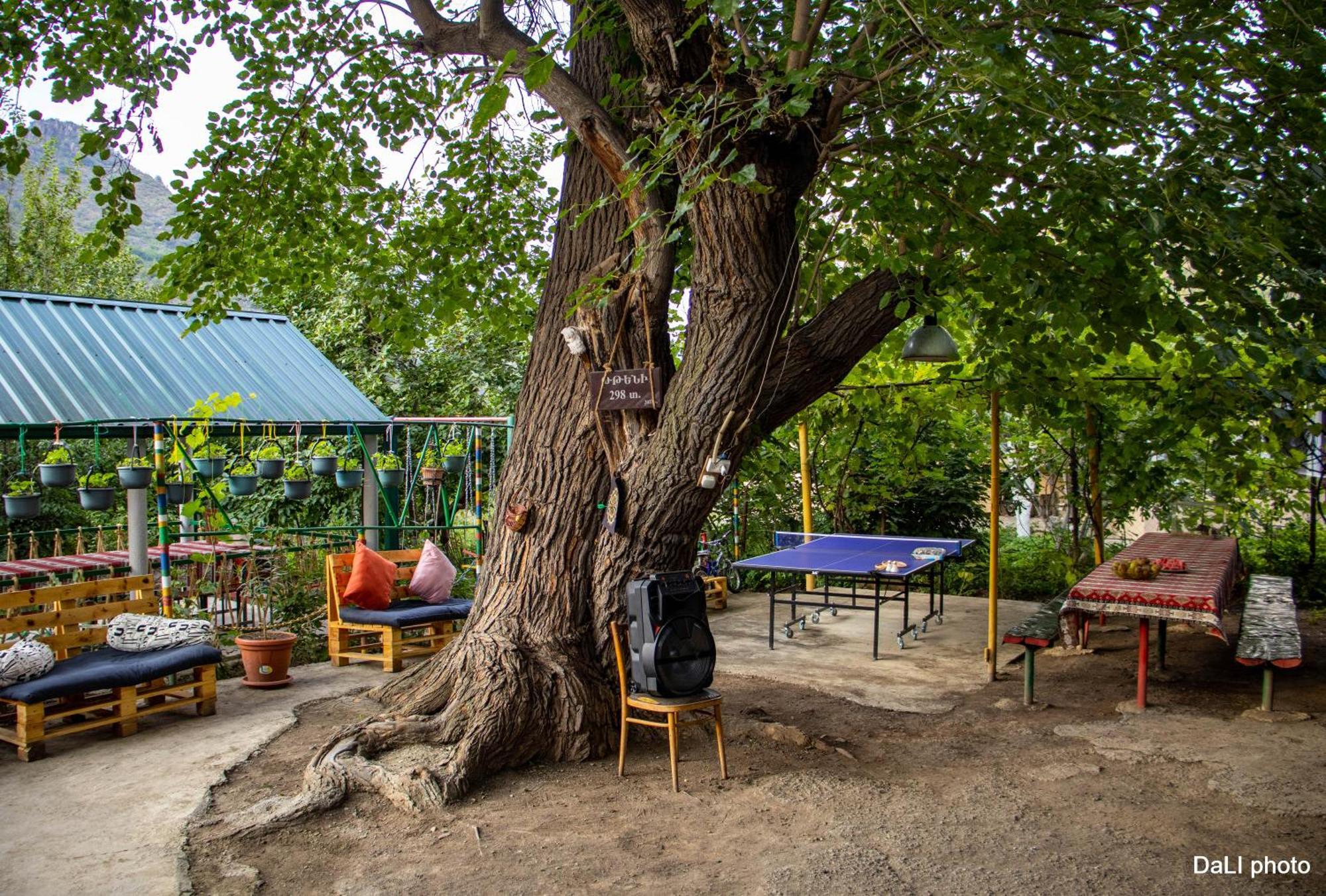ホテル Tereza Glamping Sanain エクステリア 写真